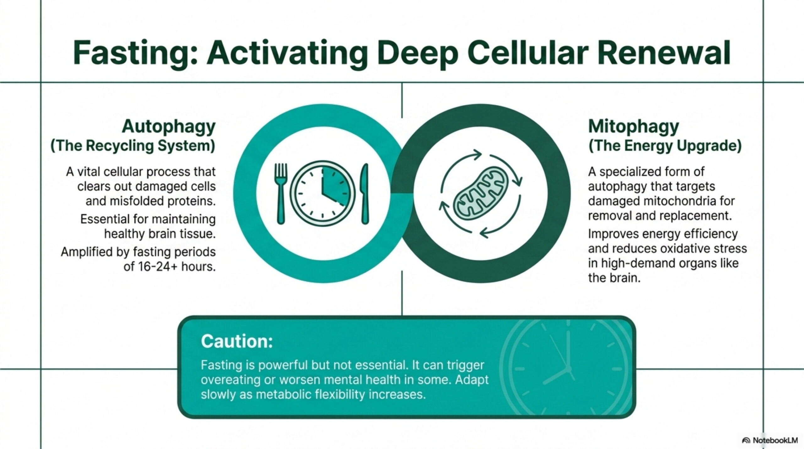 Fasting activates deep cellular renewal through autophagy and mitophagy