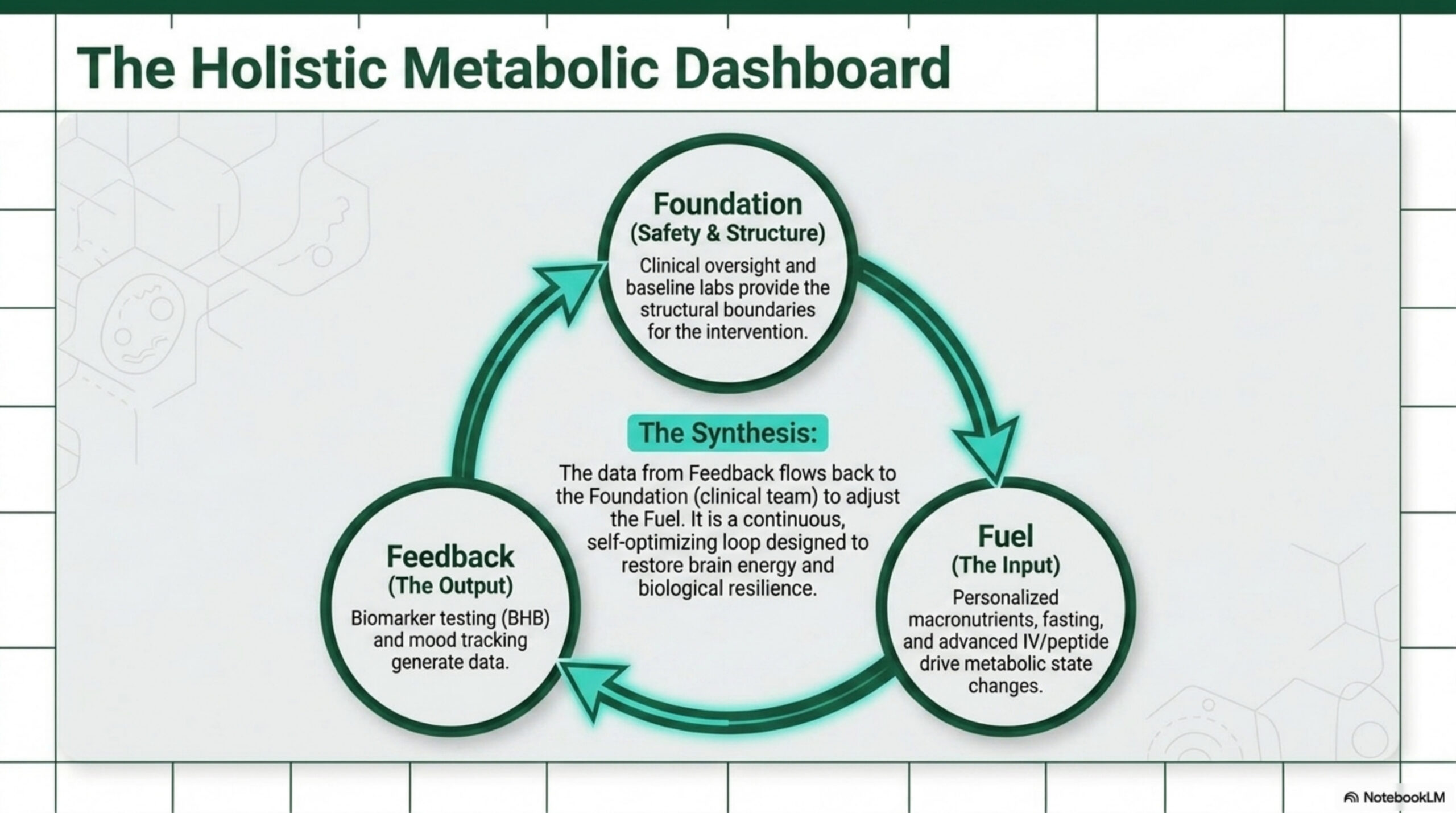 The holistic metabolic dashboard — a continuous feedback loop between foundation, fuel, and feedback