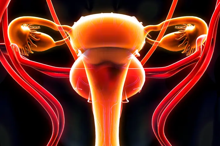 Women's health consultation